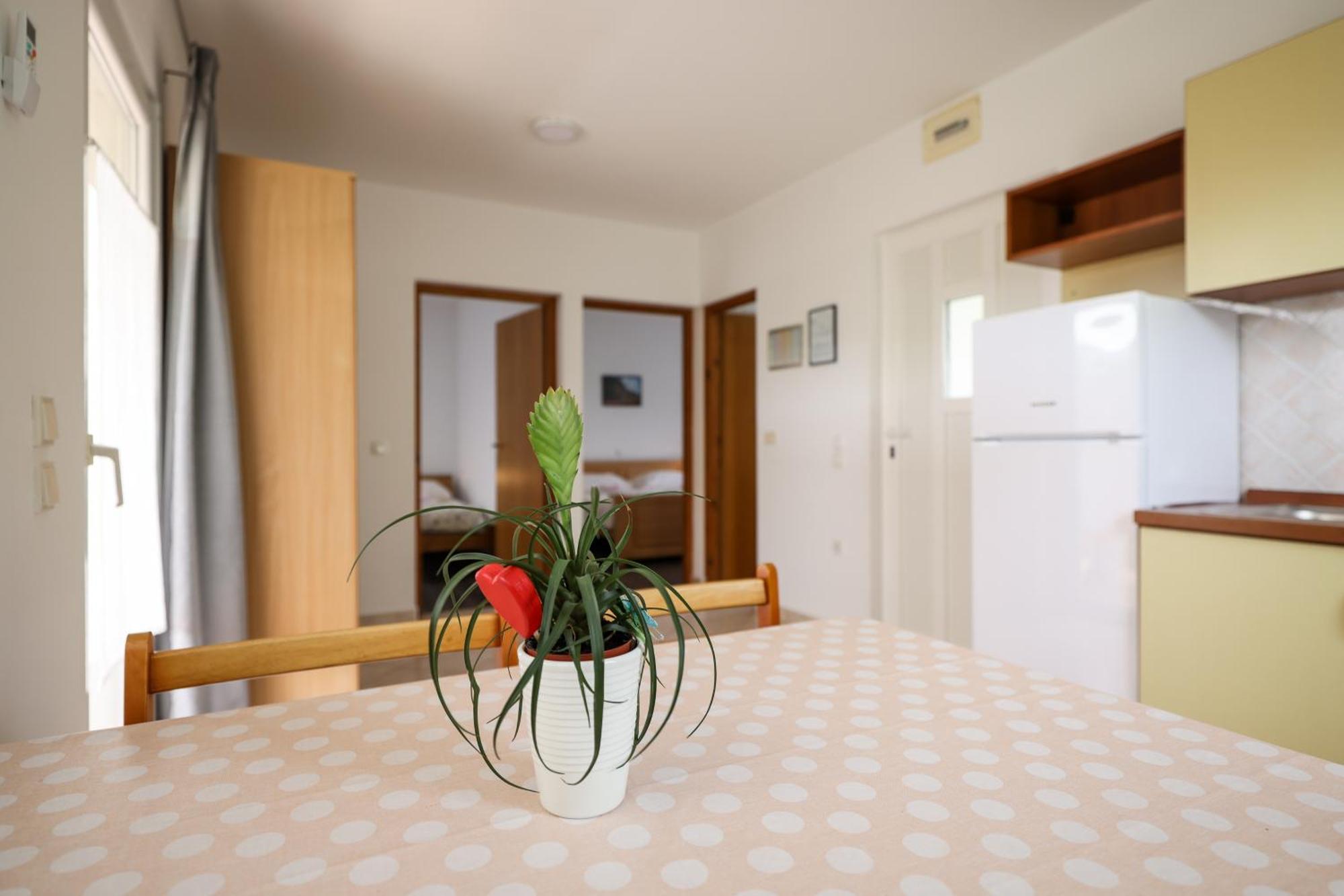 Apartments Kika นิน ภายนอก รูปภาพ